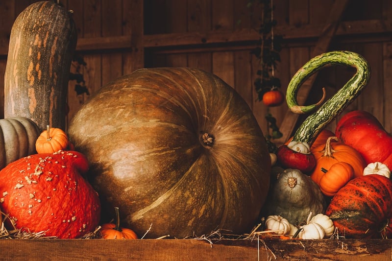 Fall Festivities
