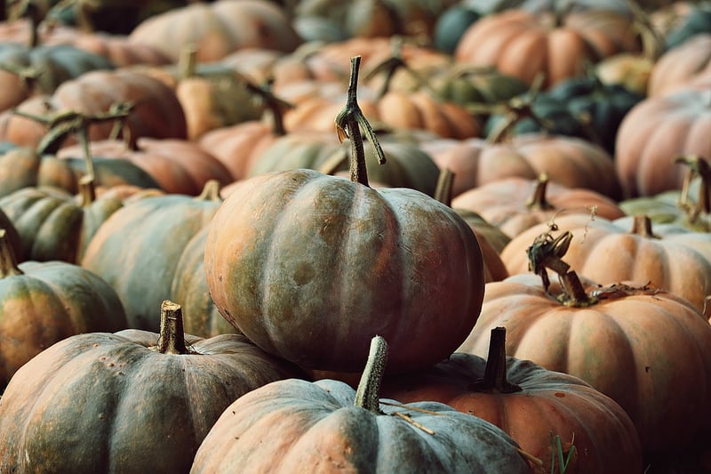 Harvest Feast